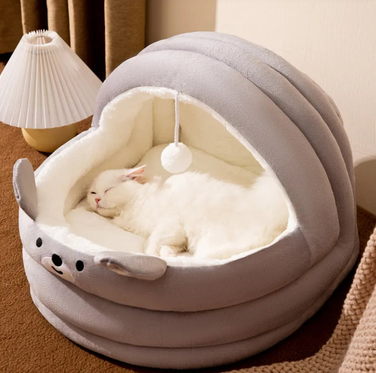 Nid Douillet pour Chat